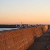 横浜市/神奈川県/東京都の印刷物・看板・のぼりを企画立案、 デザイン（リーフレット/パンフレット/チラシ/名刺/封筒/伝票/シール/ステッカー）・制作まで トータルプロデュースいたします。ご相談、お見積もり等はお気軽にSEIBIDO（有）正美堂まで