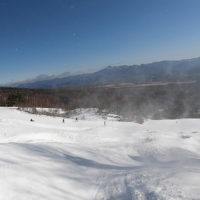 横浜市/神奈川県/東京都の印刷物・看板・のぼりを企画立案、デザイン（リーフレット/パンフレット/チラシ/名刺/封筒/伝票/シール/ステッカー）・制作までトータルプロデュースいたします。ご相談、お見積もり等はお気軽にSEIBIDO(有限会社 正美堂）まで