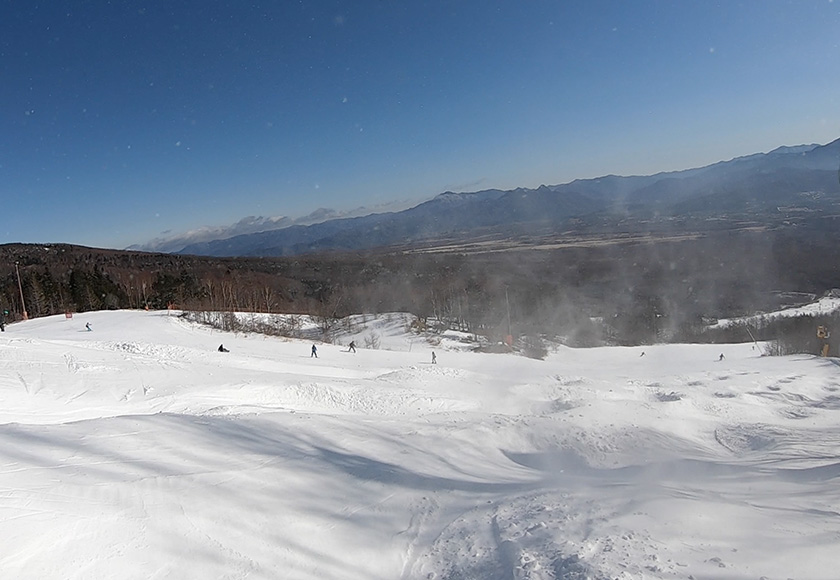 横浜市/神奈川県/東京都の印刷物・看板・のぼりを企画立案、デザイン（リーフレット/パンフレット/チラシ/名刺/封筒/伝票/シール/ステッカー）・制作までトータルプロデュースいたします。ご相談、お見積もり等はお気軽にSEIBIDO(有限会社 正美堂）まで